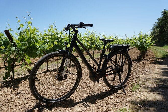 Les Vins des Côtes du Rhône à vélo... un must à découvrir!