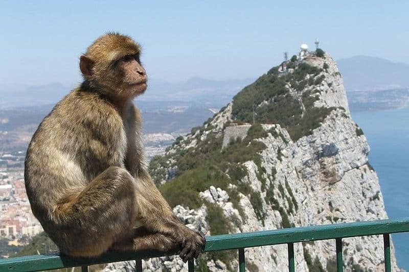 De la Costa del Sol: le Gibraltar Rock Tour classique