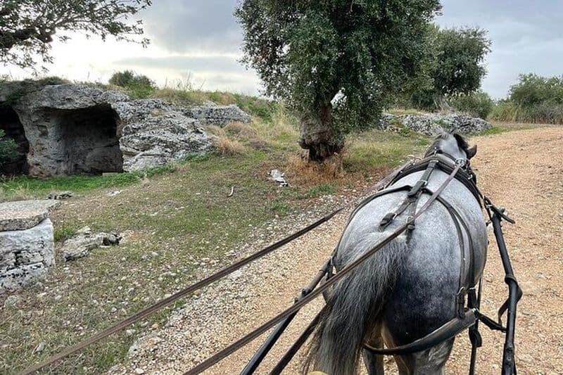 Balade à cheval dans la campagne des Pouilles
