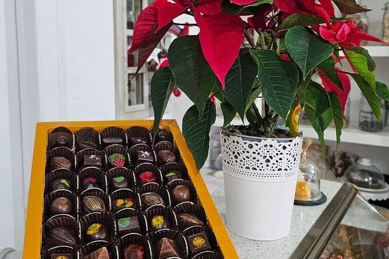 Visite de Tavira Tuk Tuk - Visite du chocolat - Tavira City & Chocolate