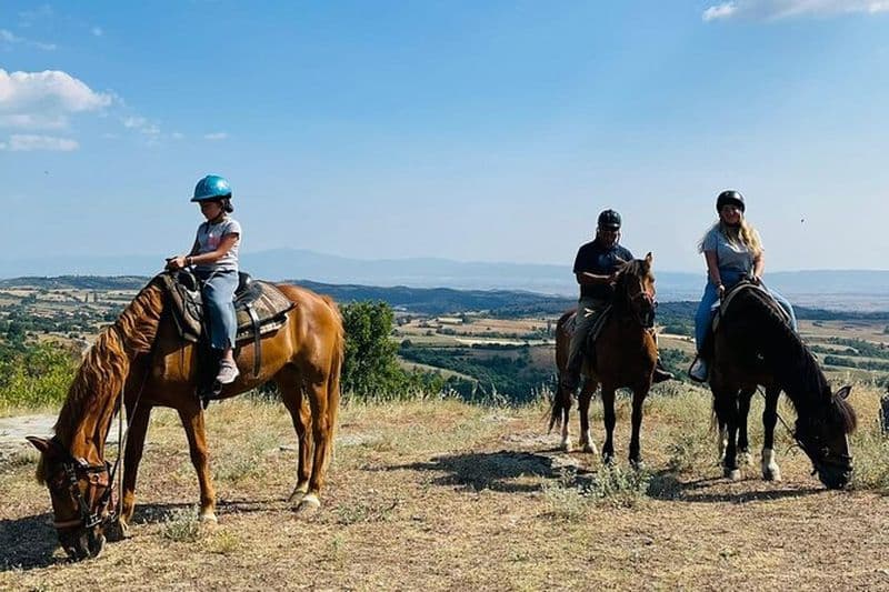 Visite d'une ferme et équitation dans la nature