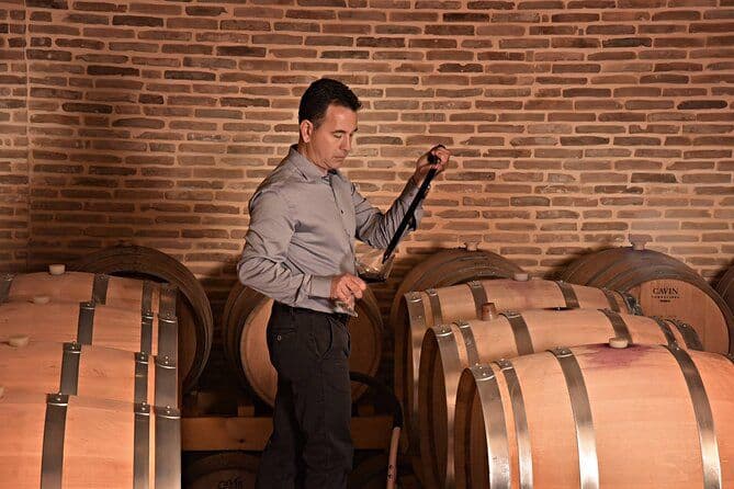 Visite des vignobles de Corinthe et dégustations de vins fins bio