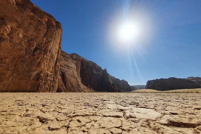 Visite privée à AlUla Découvrez Elephant Rock et de nombreuses pierres précieuses cachées