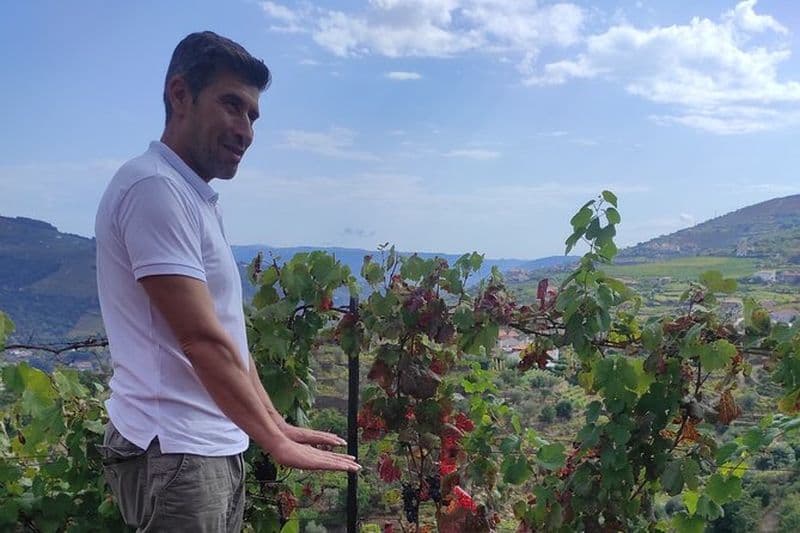 Vinho Verde 2 vignobles + Guimarães culturelles - Privé/de Porto