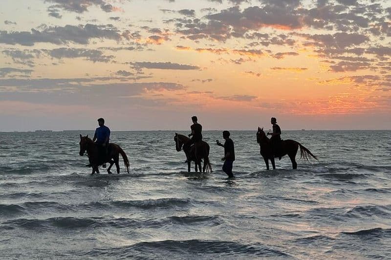 Équitation à Djeddah