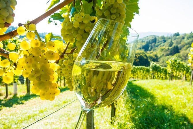 St Paul de Vence, Antibes et dégustation de vins de Cannes