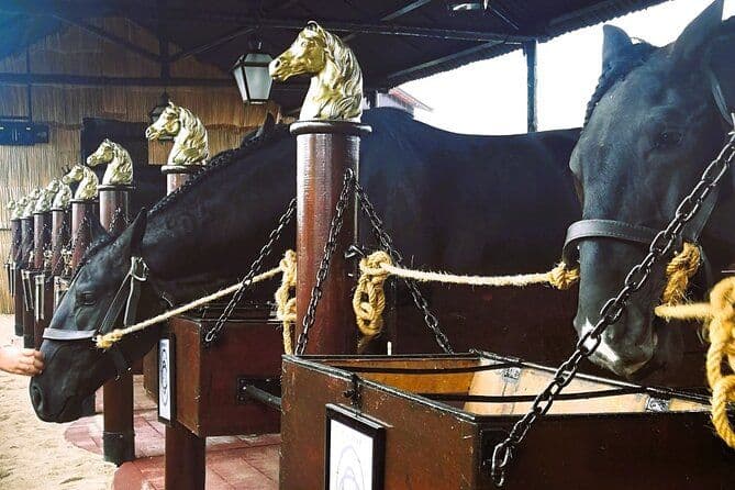 De Lisbonne: Excursion privée d'une journée à cheval sur le Tage à l'huile d'olive