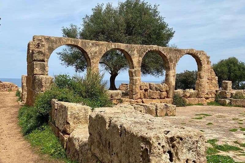 Visite Privée d'une Journée aux Ruines Romaines de Tipaza