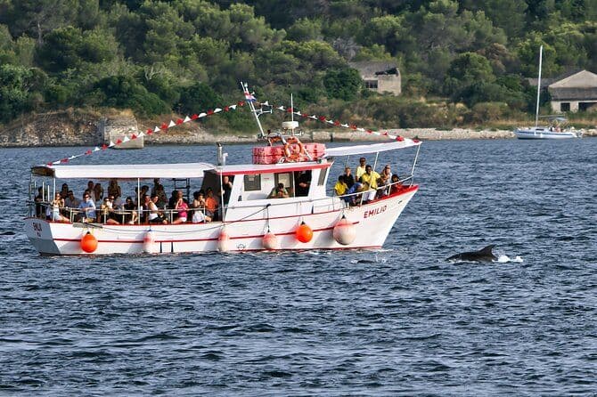 Excursion en bateau pour observer les dauphins au coucher du soleil à Pula avec dîner