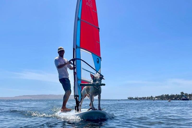 Journée complète de planche à voile à Paracas