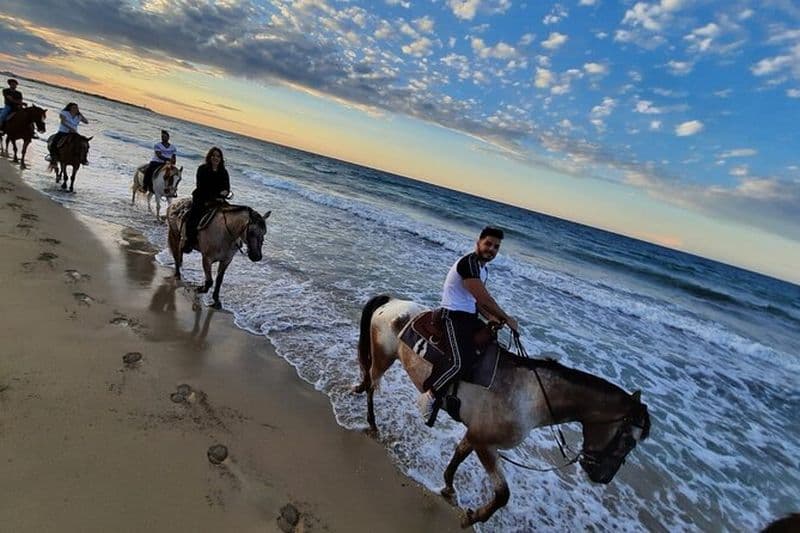 Balade à cheval de 2 heures dans le parc des dunes côtières