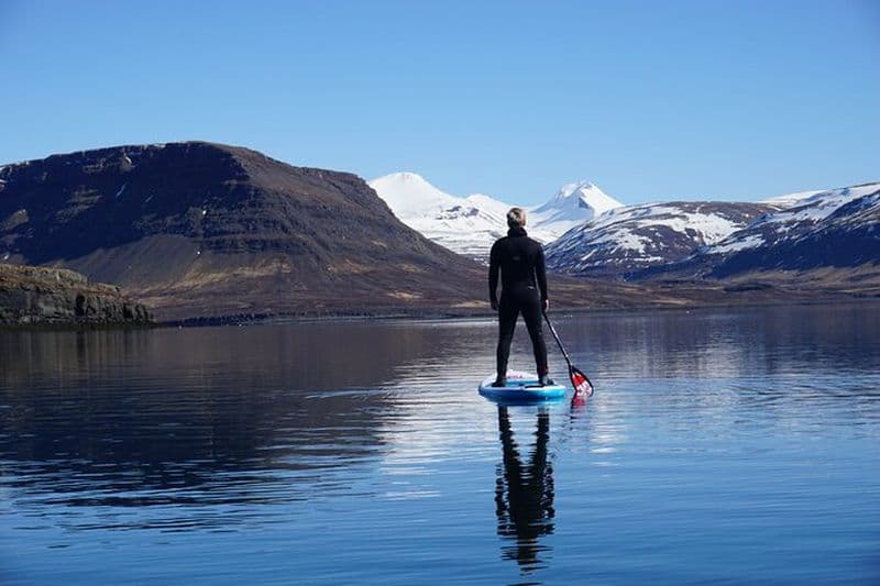 Activité guidée privée de stand up paddle à Hvalfjordur