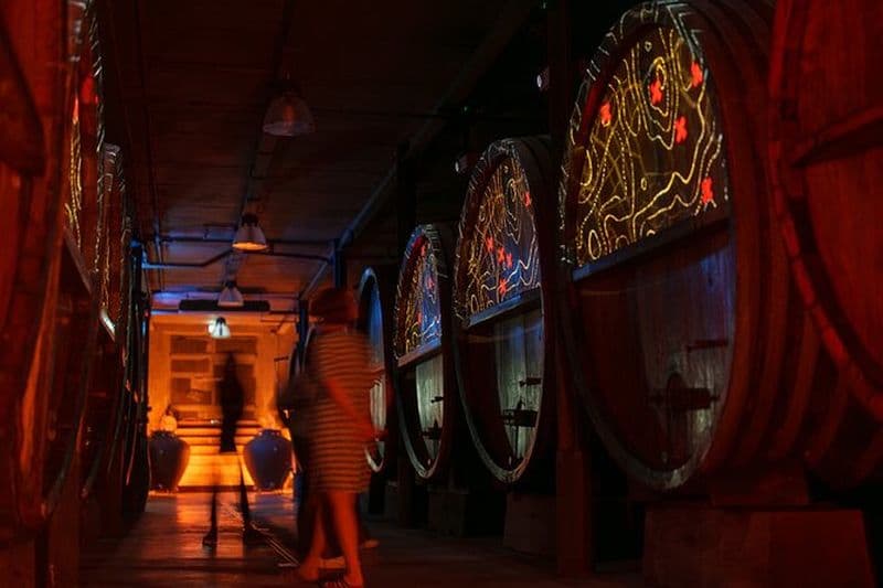 Visite de Cave avec Dégustation de 5 Vins d'Alsace et Kougelhopf vers Strasbourg