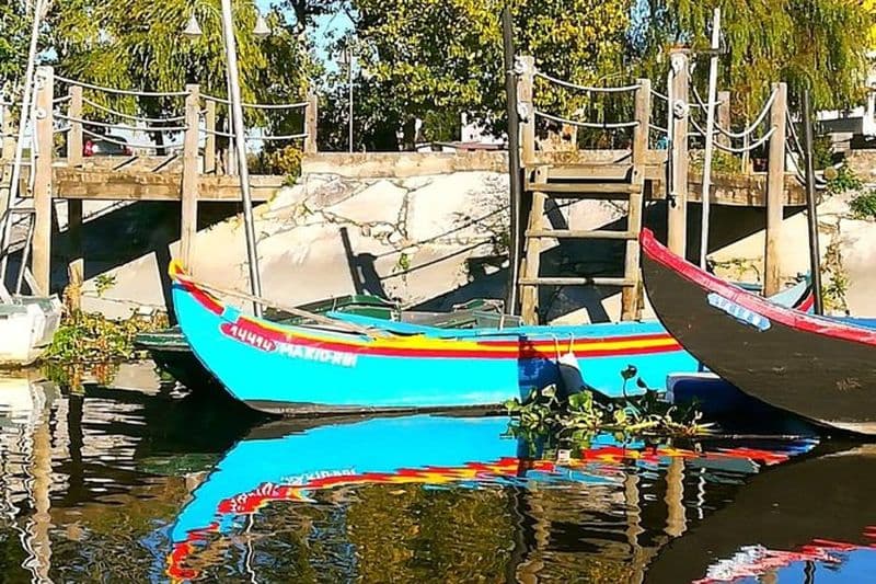 Ribatejo Privé Tous Frais inclus et Lunch Day Tour Avec Birdwatching à EVOA