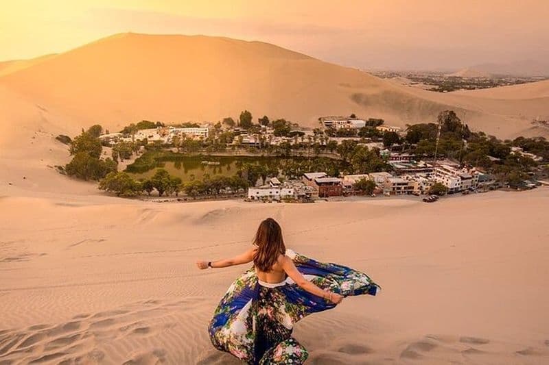 Excursion de 2 jours au départ de Lima : Paracas, Huacachina et vignoble de Pisco