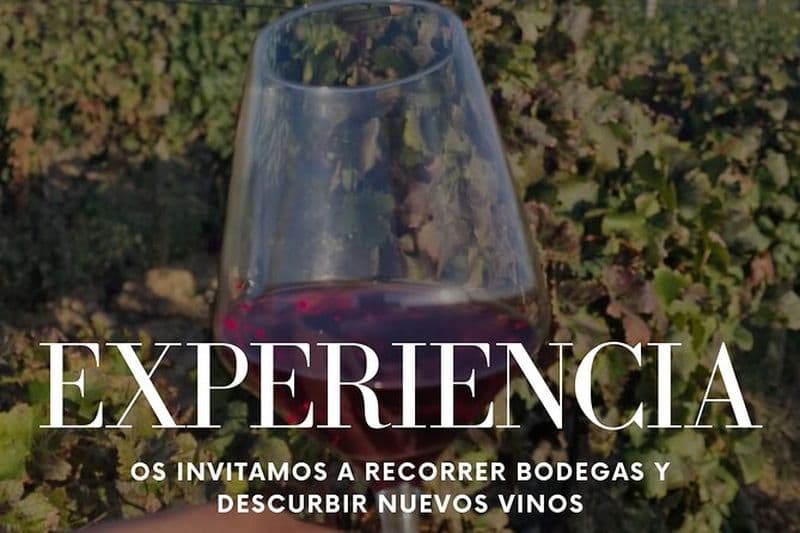 Visite privée d'une journée dans l'Alt Empordà avec dégustation de vins