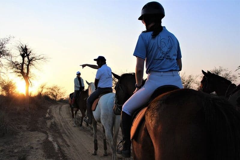Aravali Trail Experience (Zone forestière Jungle Safari) - Équitation