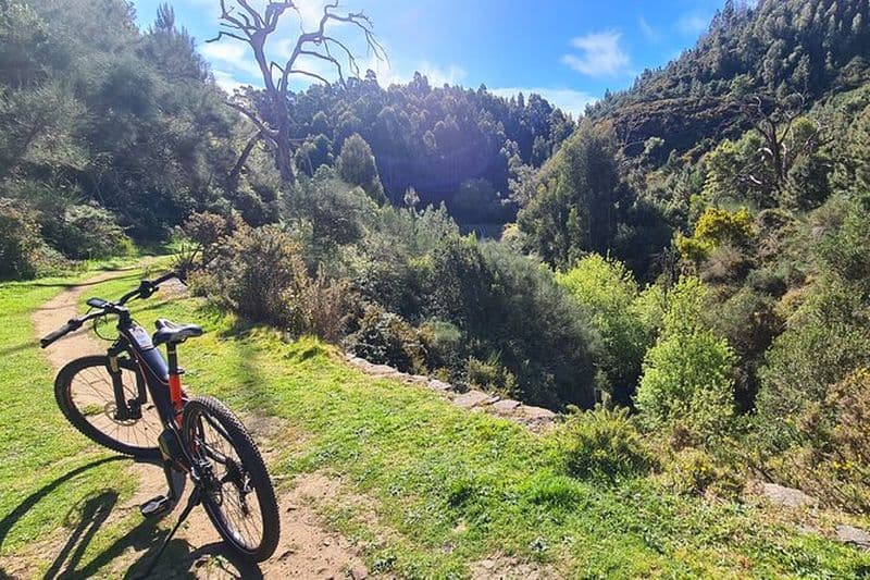 Sentier Levada da Camacha en vélo électrique