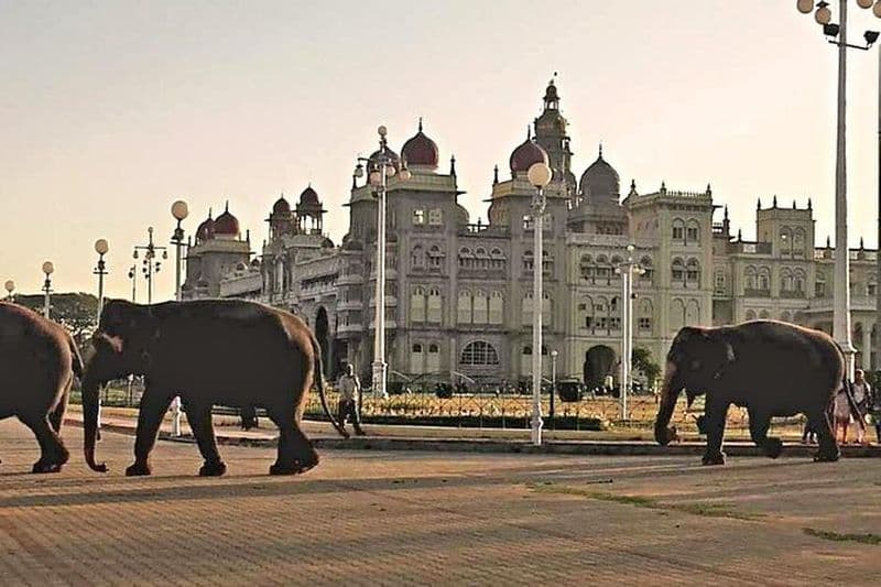 Visite d'une journée à Mysore, au temple de Somnathpur de l'UNESCO et à Srirangapatna
