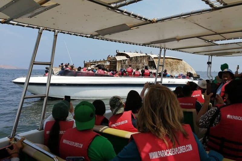 Journée complète à Paracas Islas Ballestas avec sandboard et buggy des dunes