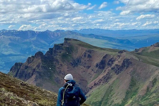 Visite à pied naturaliste de Denali