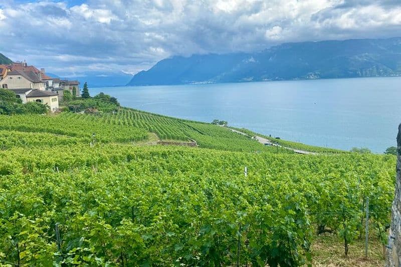 Visite privée des vins de Gruyères, Fromages et Lavaux UNESCO | From Bern