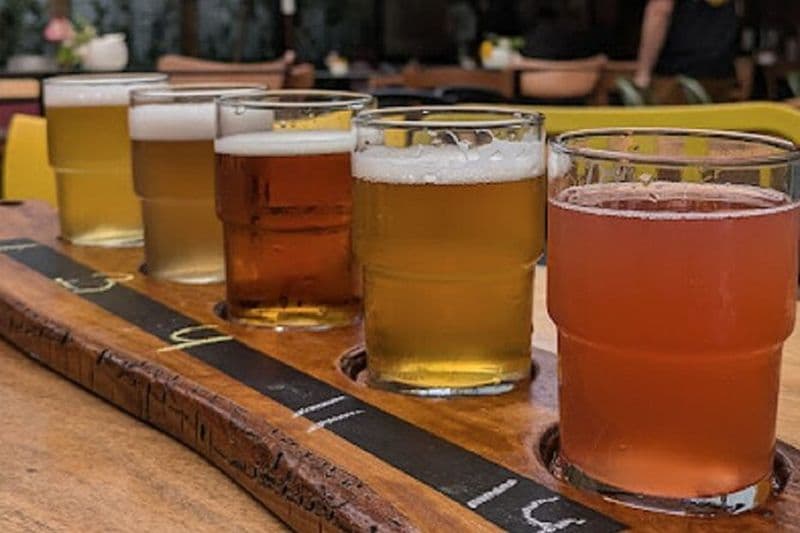 Tirana : Dégustation guidée de bière artisanale avec des bouchées locales