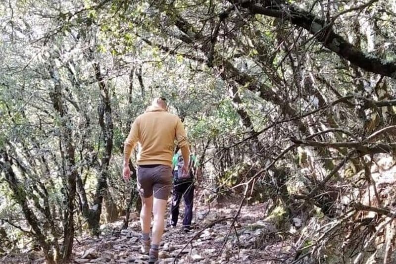 Randonnée dans la forêt de sapins espagnols d'Escaleretas avec prise en charge à l'hôtel