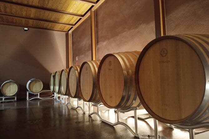 Vins de Volterra, émotions sensorielles de l’agriculture bio