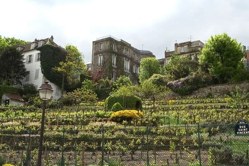 Le Rallye des Vignerons à Montmartre