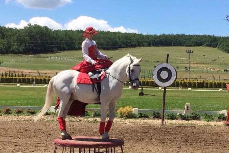 Spectacle équestre, déjeuner, balade en calèche, visite du Palais privé proche Bp