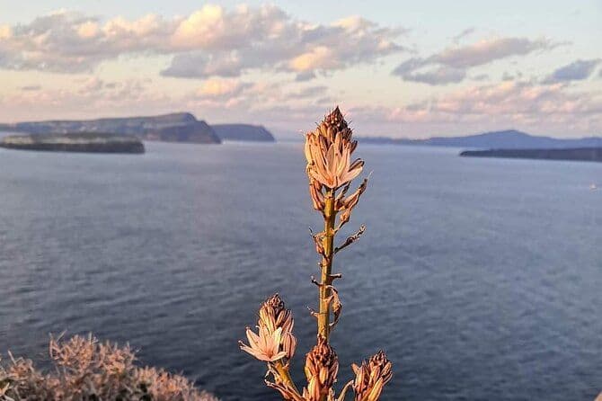 Excursion privée de pêche intérieure au coucher du soleil à Vlychada