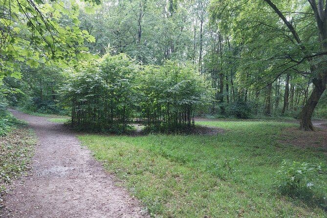 Mission Aqua rallye forestier pour les enfants de 8 à 12 ans