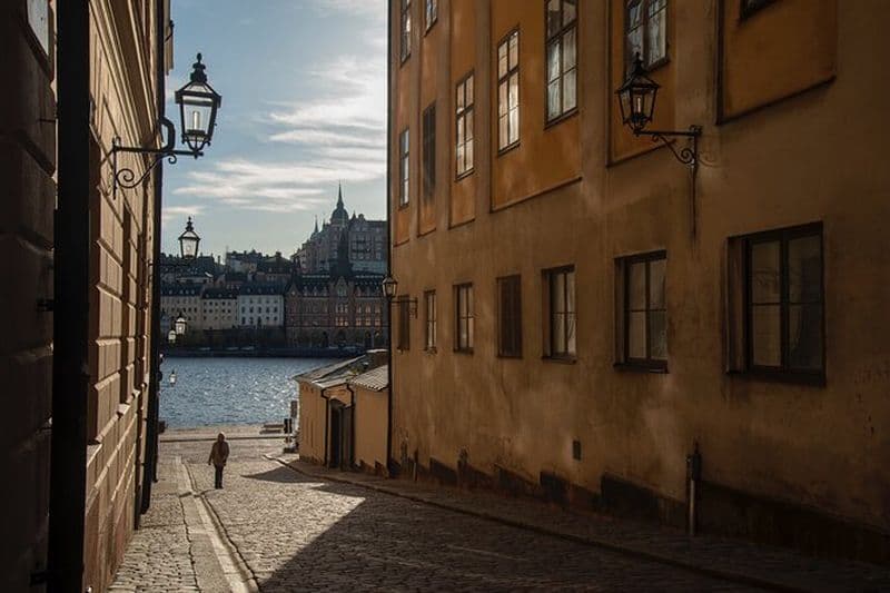 Visite privée de 3 heures de la photographie à Stockholm des monuments célèbres
