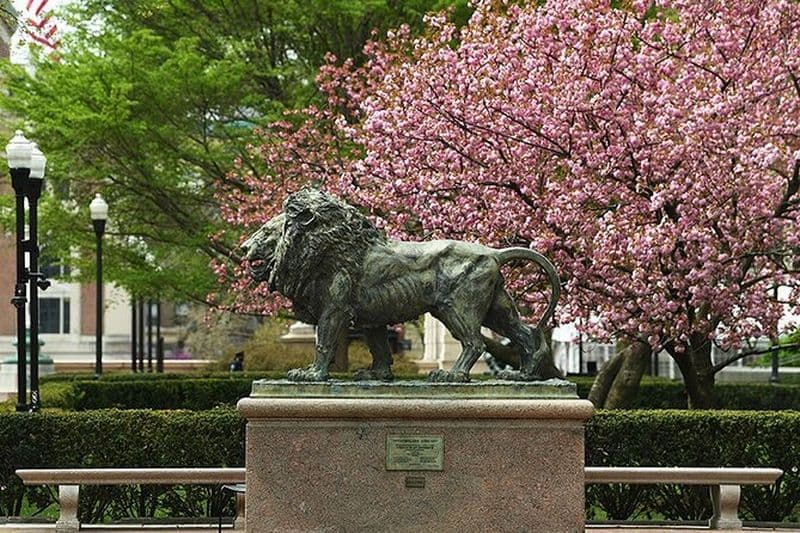 Columbia University Scavenger Hunt and Escape Game