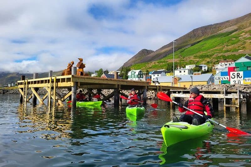 Visite guidée en kayak à Siglufjörður / Siglufjordur.