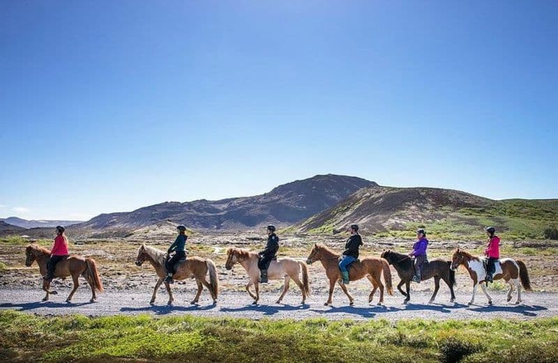 Excursion à cheval islandaise avec option de ramassage au départ de Reykjavik