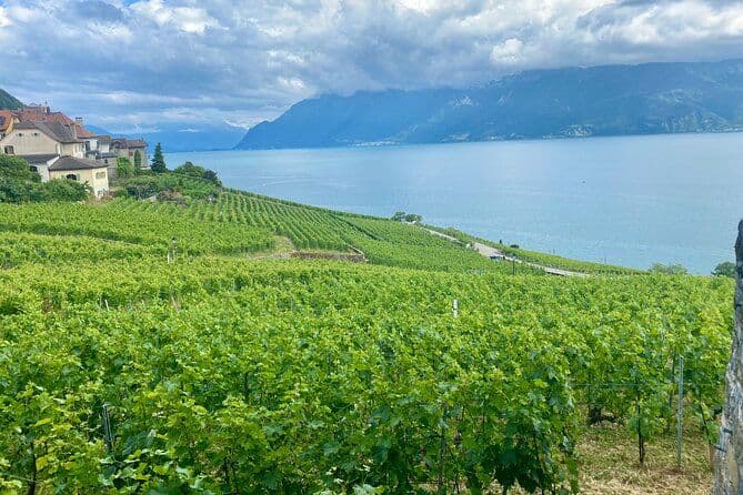 Visite privée de Bâle - Gruyères, fromage et vin UNESCO de Lavaux