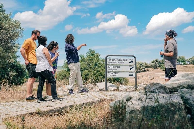 Visite guidée à pied de la ville antique de Teos et du château de Sığacık