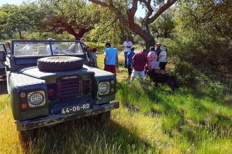 Pack Expérience Safari Land Rover Cork