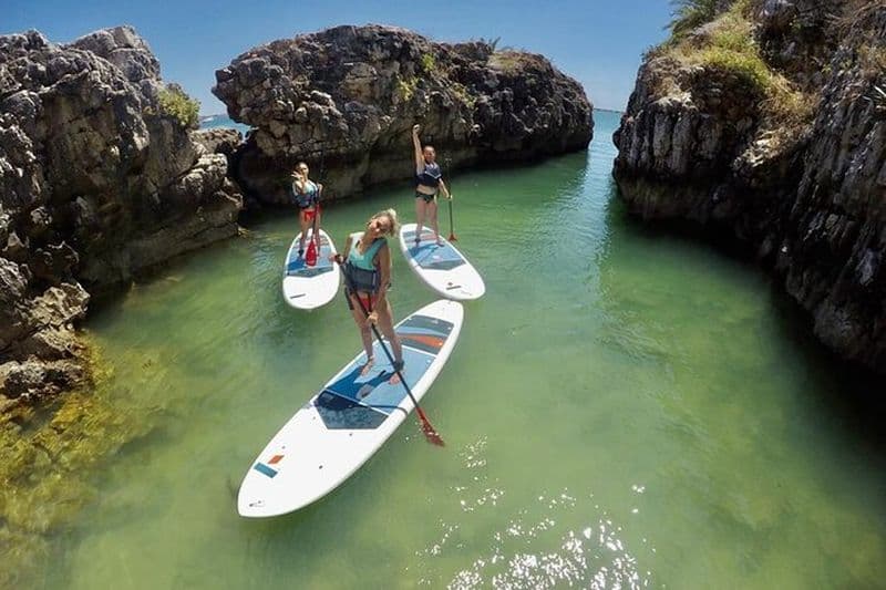 Billet Cours de Stand Up Paddle Boarding de la Baie de Cascais