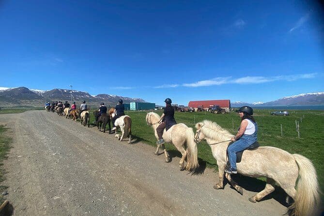 Excursion à cheval et découverte de paysages à Gásir Akureyri
