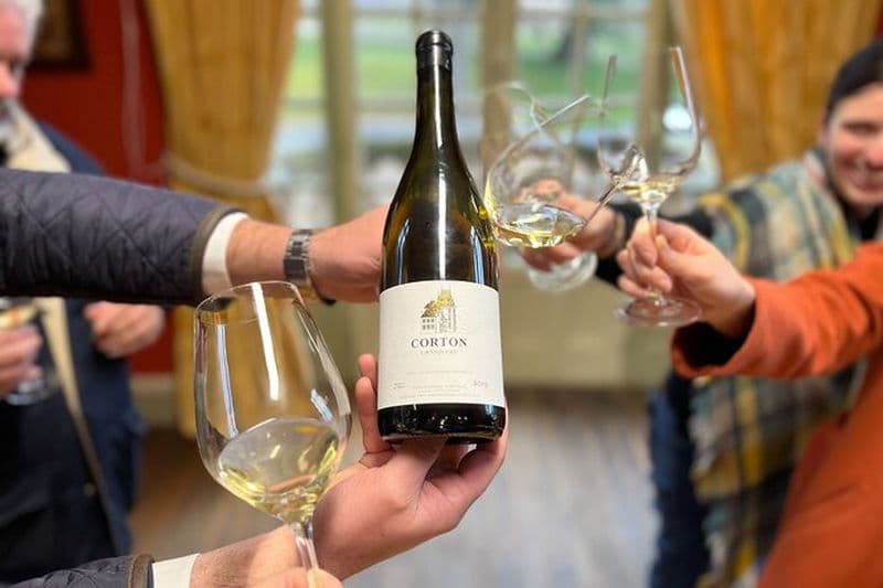 Route des Grands Crus de Bourgogne - 14 dégustations de vins dans les domaines