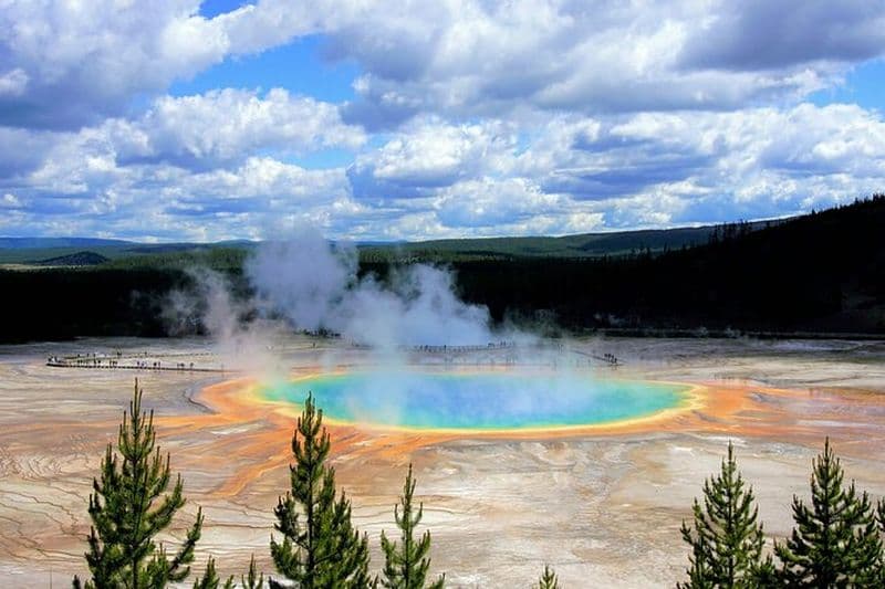 Visite privée d'une journée à Yellowstone