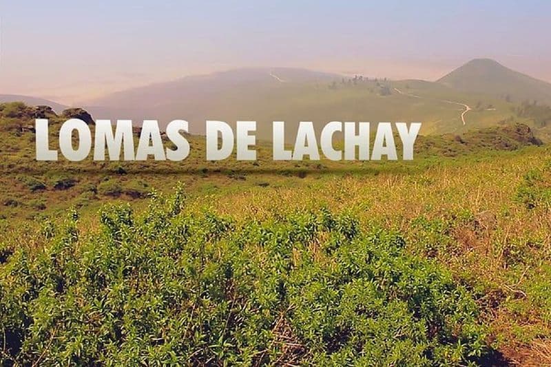Randonnée à Lima, Lomas de Lachay