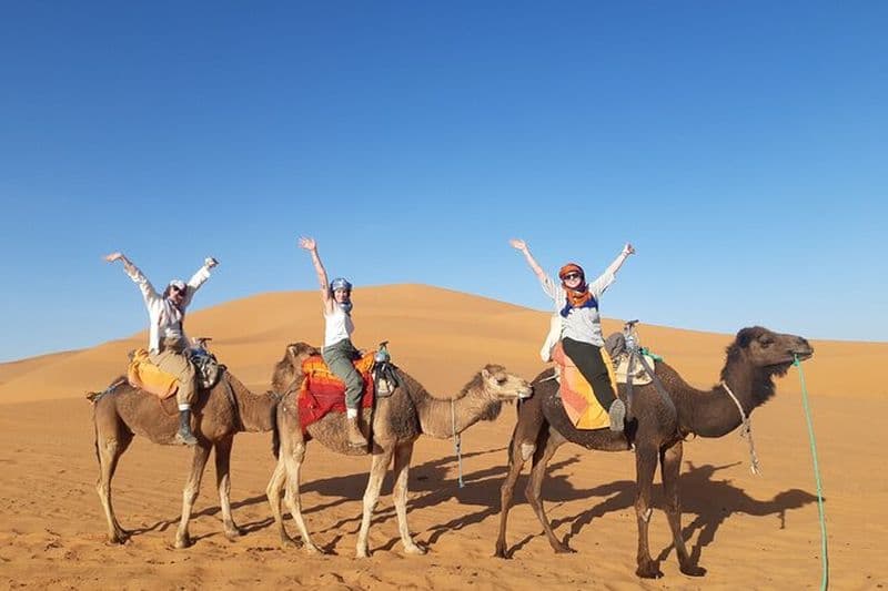 Circuit de 3 jours de Fès à Marrakech via les dunes de Merzouga, randonnée à dos de chameau