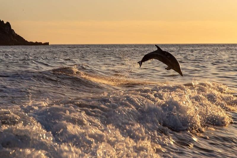 Billet Golfe d'Ajaccio / Anse de Cacao
