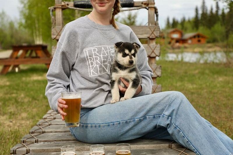 Expérience guidée d'une heure et demie avec de la bière et des chiots à Fairbanks