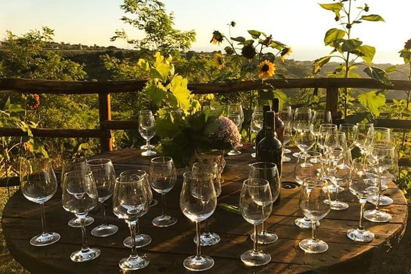 Billet Dégustation de vin et de produits typiques