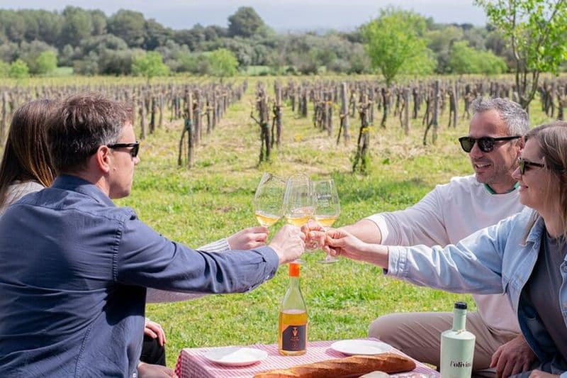 Pique-nique gastronomique et dégustation de vins parmi les vignobles de l'Empordà